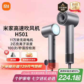 米家 MIJIA GSH501SST 电吹风 雾茶灰