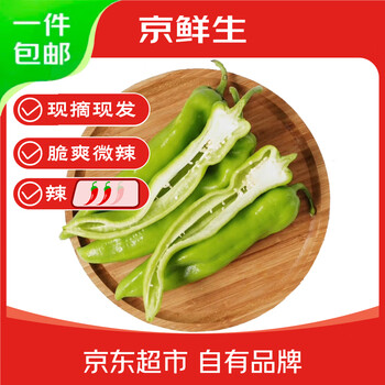 京鲜生内蒙古新鲜尖椒净重1.5斤装 新鲜蔬菜 辣椒 源头直发