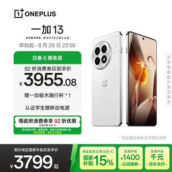 ONEPLUS/一加 13 白露晨曦 12+512G