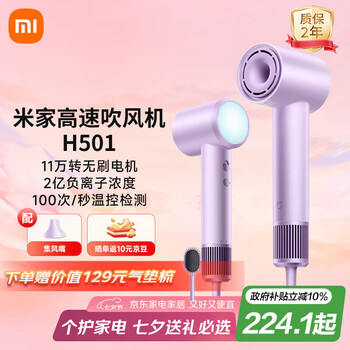 米家 MIJIA GSH501LFP 电吹风 初晴紫