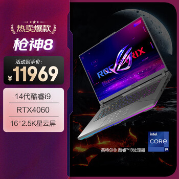 玩家国度 ROG 枪神8 十四代酷睿版 16英寸 游戏本 黑色（酷睿i9-14900HX、RT