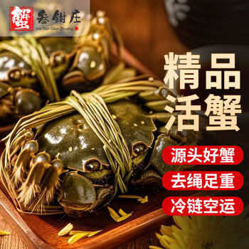 【活蟹】蟹叁钳庄大闸蟹去绳足重1.8-2.1两 10只鲜活六月黄鲜活螃蟹水产礼盒源头直发